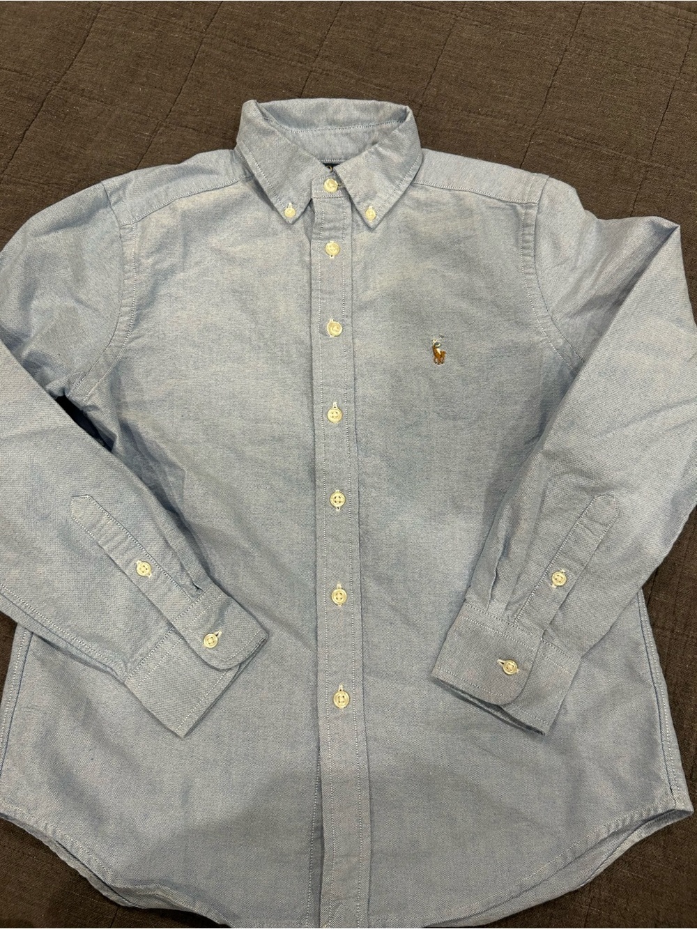 Polo by Ralph Lauren Light Blue Oxford Button-Down Shirt